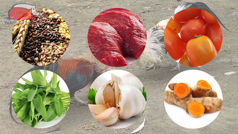 Dinh dưỡng khoa học trong huấn luyện gà đá